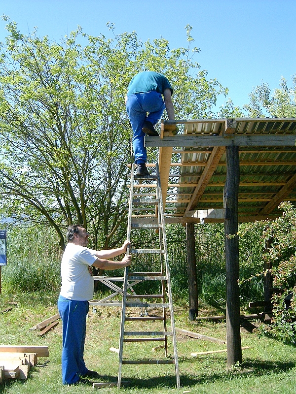 20100605 007.jpg